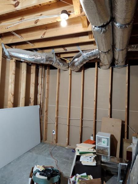 basement remodel before